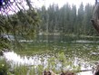 Černá Hora, Biogradska Gora