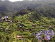 Portugalsko - Madeira - střed ostrova je hornatý, vlhký a plný květů