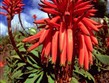 Portugalsko - Madeira