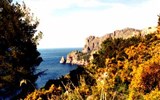 Mallorca, zelený ostrov Středomoří s turistikou - Španělsko, Mallorca
