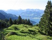 Švýcarsko, Vierwaldstetter see