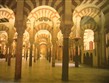 Umění, výstavy a architektura - Španělsko - Andalusie - Cordoba, Velká mešita, 450 sloupů z žuly jaspisu a mramoru podpírá strop