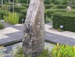 Francie, Pikardie, Arras, arboretum