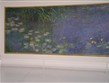 Francie - Paříž - Monetovy Lekníny v Musée de l´Orangerie