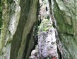 Německo, Berchtesgaden, Sigm. Thunklamm