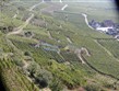Francie - Alsasko - na jižních svazích Vogéz zrají odrůdy jako Gewürztraminer či Muscat 
