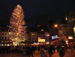 Francie, Alsasko, Štrasburk, advent, strom