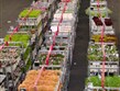 Nizozemí, Aalsmeer, květiny v přepravkách