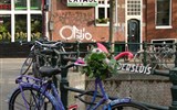 Amsterdam, advent a festival světel - Holandsko - Amsterdam, kola jsou všude a někdy se zdá že jich je víc než lidí
