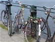 Eurovíkendy - Nizozemí - Amsterdam - kola jsou tu všude