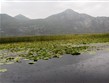 Černá Hora, Skadarské jezero