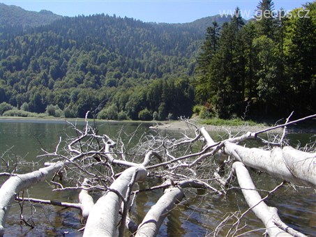 Černá Hora, NP Biogradská gora, ledovcové jezero