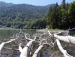 Černá Hora, NP Biogradská gora, ledovcové jezero