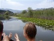 Černá Hora, Skadarské jezero
