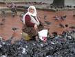 Turecko, Istanbul, náměstí s holuby