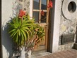 Itálie - Ischia - kouzelná zákoutí vesniček na ostrově