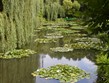 Francie -  Normandie - Giverny, Monetova zahrada kde vznikaly jeho světoznámé obrazy