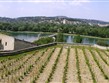 Francie, Provence, Avignon, papežské vinice