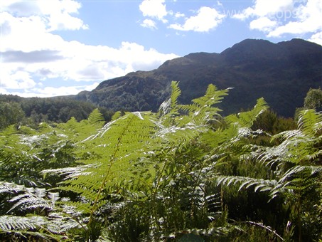 Velká Británie, Skotsko, jezerní kraj The Trossachs