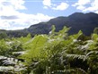 Velká Británie, Skotsko, jezerní kraj The Trossachs