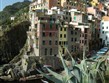 Itálie, Ligurie, Cinque Terre - Riomaggiore
