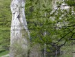 Polsko - Ojcovský národní park, nejmenší národní park Polska s rozlohou necelých 22 km2