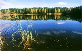 Estonsko - Pobaltí - Estonsko - země jezer. lesů a vysoké oblohy