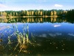 Pobaltí - Estonsko - země jezer. lesů a vysoké oblohy