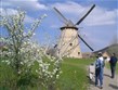 Maďarsko - skanzen Szentendre, větrný mlýn