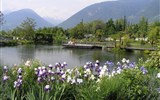 Nejkrásnější zahrady Itálie - Itálie - Merano - Trautsmansdorfské zahrady, kosatce u jezírka