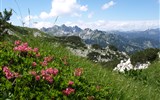 Slovinsko – informace o zemi - Slovinsko - Julské Alpy - masiv Vogelu