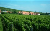 Kouzelné Lotrinsko, Alsasko i pro gurmány - Francie - Alsasko - všude kolem vinice