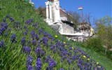 Budapešť, Mosonmagyaróvár, víkend s termály 2020 - Maďarsko - Budapešť - hradní vrch, socha bájného ptáka Turula, který údajně přivedl Maďary do Uherské nížiny a s kterým měla babička zakladatele království Arpáda dítě