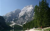 Zahrada Dolomit 2020 - Itálie - Dolomity - bílé štíty a zeleň lesů