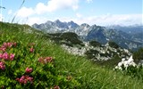 Putování a relaxace v Julských Alpách 2020 - Slovinsko - Julské Alpy - horský hřeben Vogelu