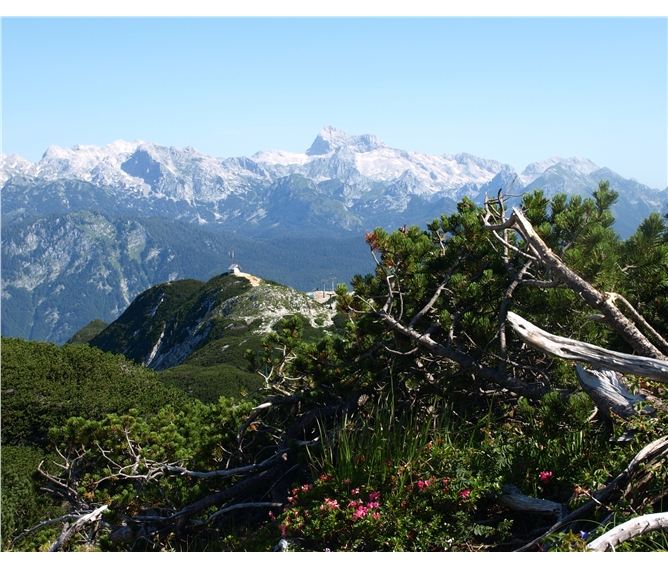 Putování a relaxace v Julských Alpách - Slovinsko - Julské Alpy - Triglav přes kosodřevinu