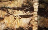 Postojenské jeskyně - Slovinsko -  Postojenské jeskyně s velmi bohatou krápníkovou výzdobou