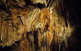 Slovinsko, hory, moře a jeskyně - Slovinsko -  Postojenské jeskyně, největší jeskynní komplex Evropy, přes 20 km podzemních chodeb