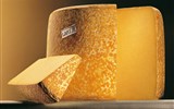 sýr cantal - Francie - Auvergne - zdejší typický poloměkký sýr cantal