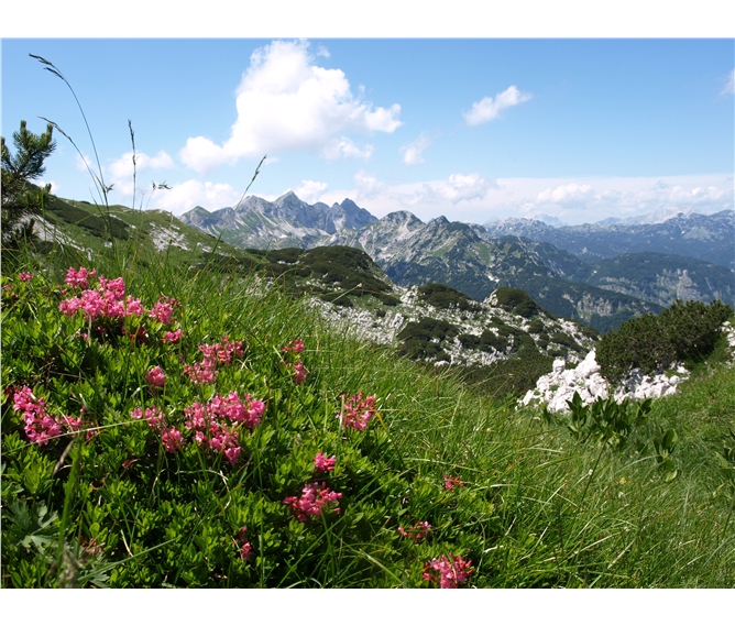Slovinsko, hory, moře a jeskyně 2020 -  Slovinsko - Julské Alpy - pod Voglem