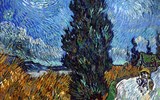 Vincent van Gogh - Vincent van Gogh, Cesta s cypřiši a hvězdami, 1890