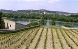 Pohodová levandulová Provence i za gastronomií a vínem 2020 - Francie - Provence - Avignon, tzv. skály dómské - vinice papežů