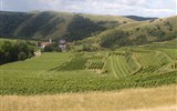 Alsasko, pohádka nejen o víně, slavnost trubačů 2018 - Francie - Alsasko - země vína a obilí