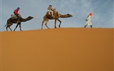 Maroko, země tisíce barev a vůní 2020 - Maroko - písek a velbloudi patří z obvyklé představě této země