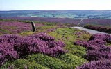 Národní parky a zahrady - Anglie - Anglie - NP North Yorks Moors