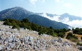 Tajuplným Balkánem do Albánie - Albánie - Llogarský průsmyk, oblast národního parku Llogara chrání nádherné horské lesy