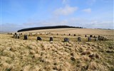 Národní park Dartmoor - V.Británie - Anglie - NP Dartmoor - kamenné kruhy Grey Wethers