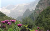 Národní park Garajonay - Španělsko - Kanárské ostrovy - NP Garajonay, ráj milovníků květin