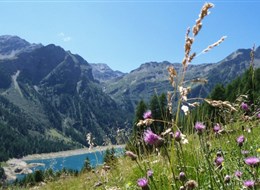 Itálie - Lago di Pian Palú