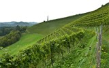Kouzlo Štýrska rychlovlakem Railjet  a Graz 2020 - Rakousko - Štýrsko - naučná vinařská stezka Silberberg